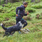 Lifestyle image of the Rock Harness Long, showing a sheepdog running across a field with their owner.