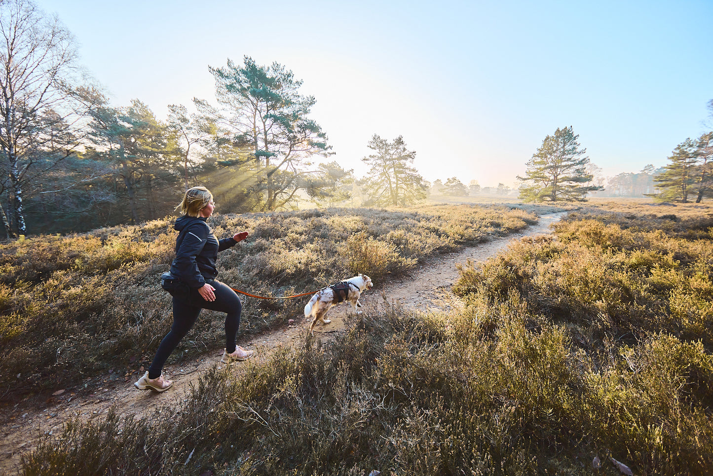 Lifestyle image of the Rock Harness Long, worn by a dog as they run in front of their owner, against a wilderness trail.
