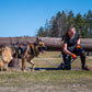 Lifestyle image of the Rock Harness Long, worn by a dog as they stand in front of a log. A lady kneels beside them.