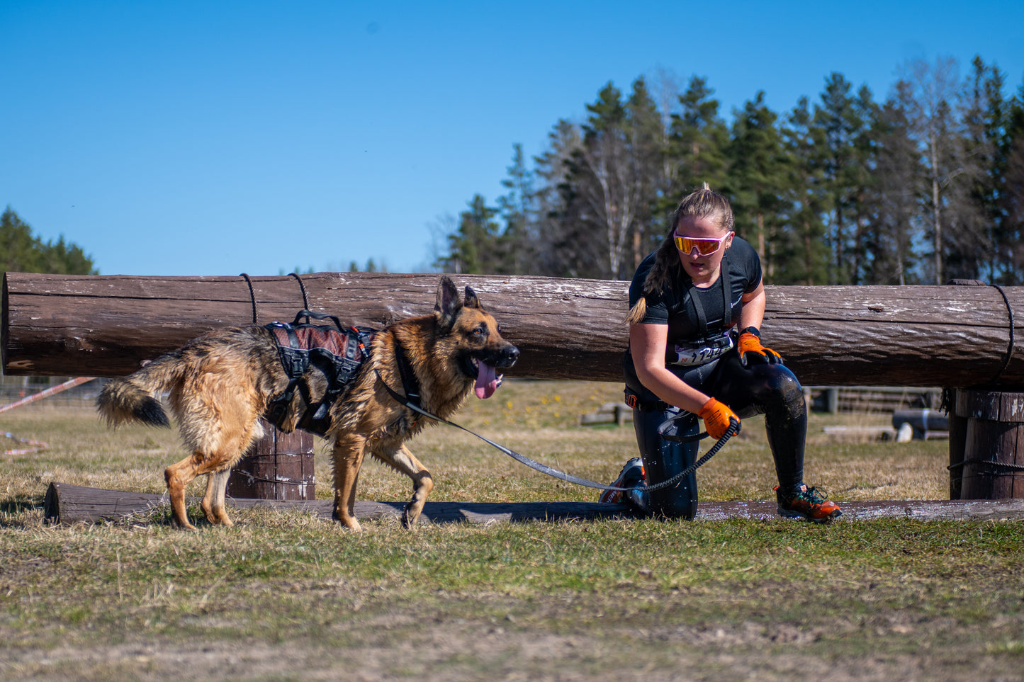 Lifestyle image of the Rock Harness Long, worn by a dog as they stand in front of a log. A lady kneels beside them.