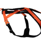 Stock image of the Rush Belt, an orange and black dog harness, with Non-stop branding along the strap.