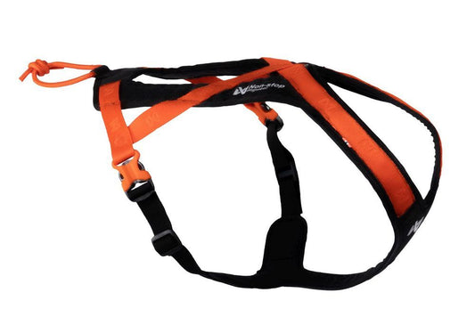 Stock image of the Rush Belt, an orange and black dog harness, with Non-stop branding along the strap.