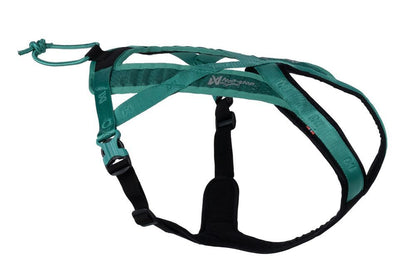 Stock image of the Rush Belt, a teal dog harness, with Non-stop branding along the strap.