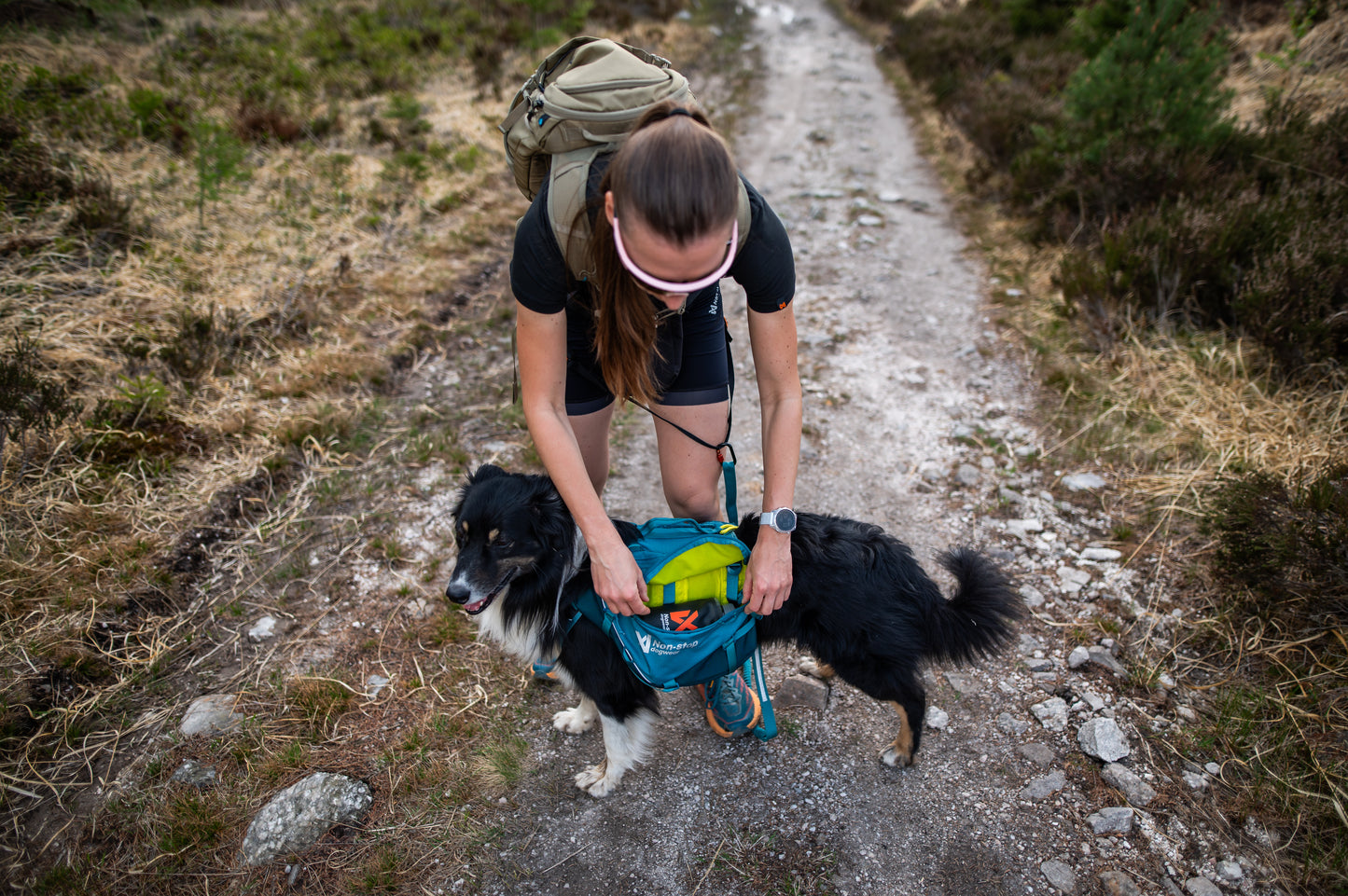 Woman hiking with a dog on a trail, filling the dog's Trail Quest Backpack.