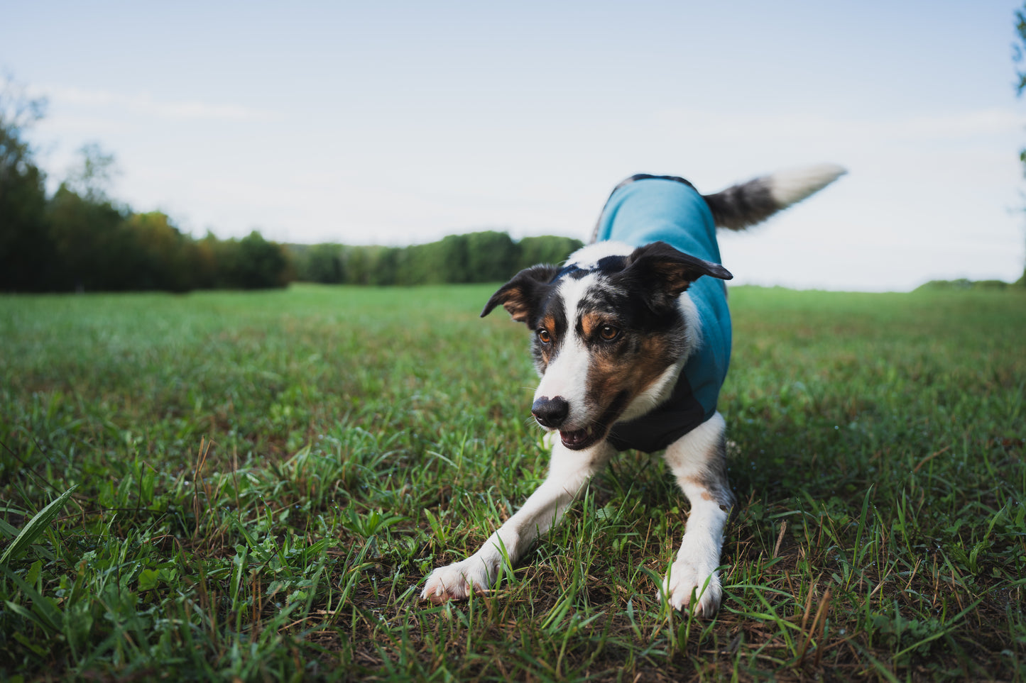 Non-stop - Trail Quest Fleece Pullover