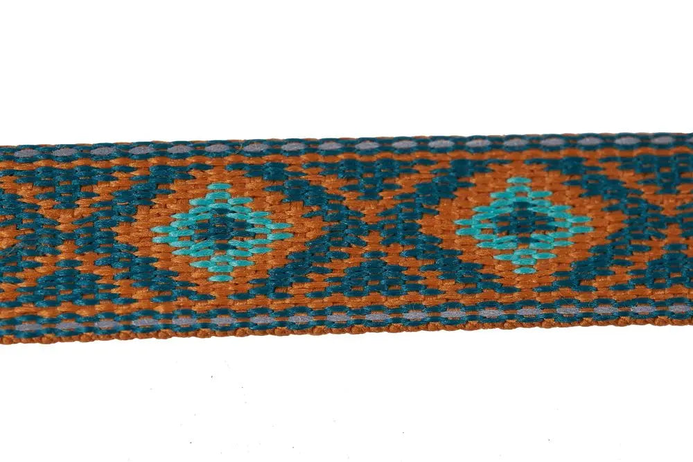 Stock image of the Trail Quest Lead, a teal and oak dog lead with patterns, on a white background.