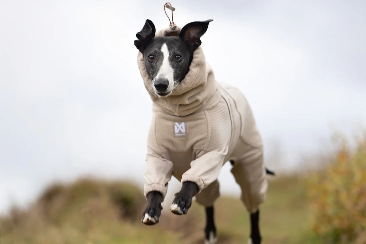 A black and white dog running through a grassy background, wearing the Trail Quest Fleece Overall.