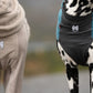 Two dalmatian dogs wearing the Trail Quest Fleece range, with a blurred background.