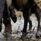 Lifestyle image of the Working Dog Fjord, with a dog walking through mud.
