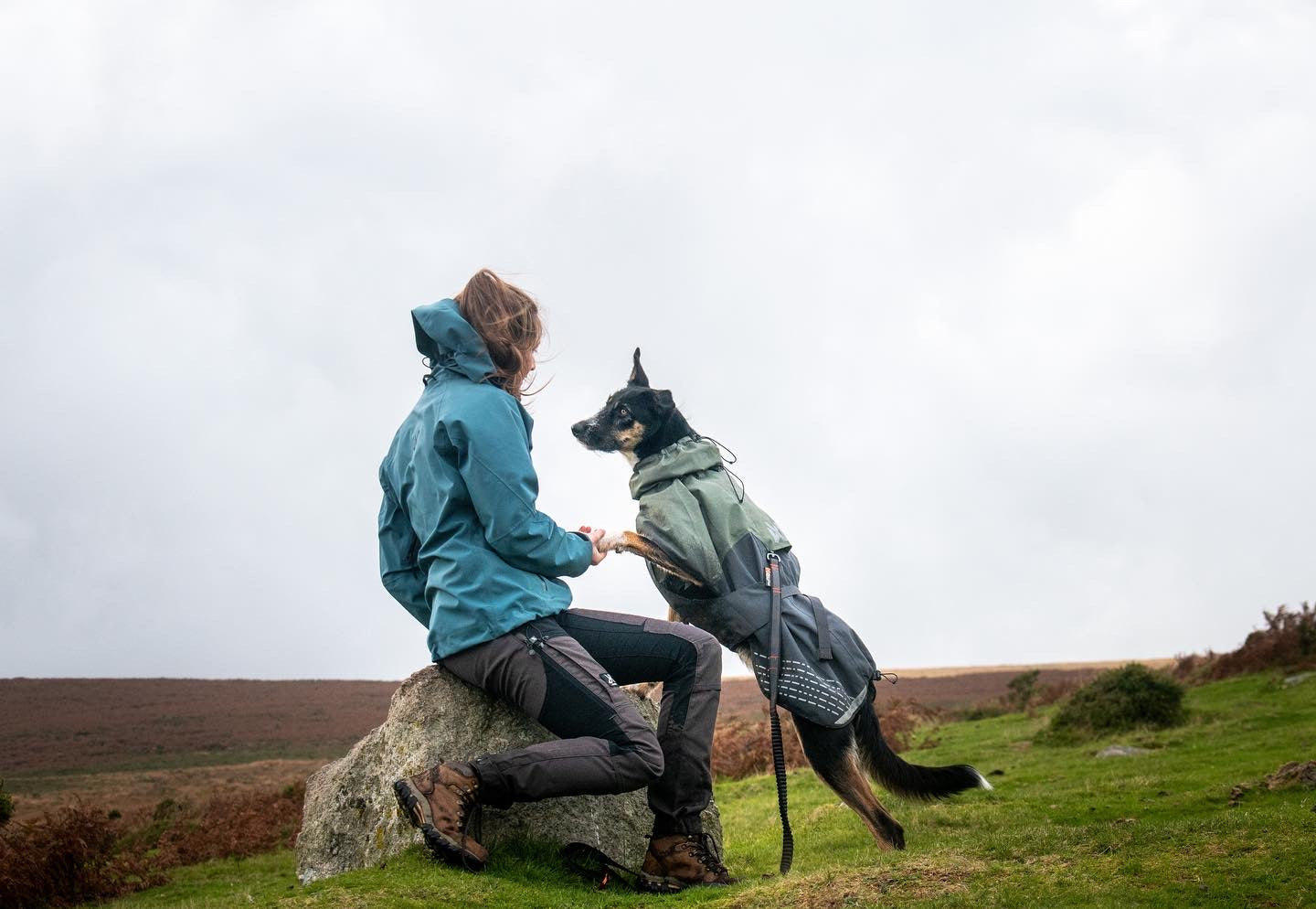 Lifestyle image of a dog and owner in an outdoor landscape. 