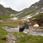 Lifestyle image of a dog running through the hills.