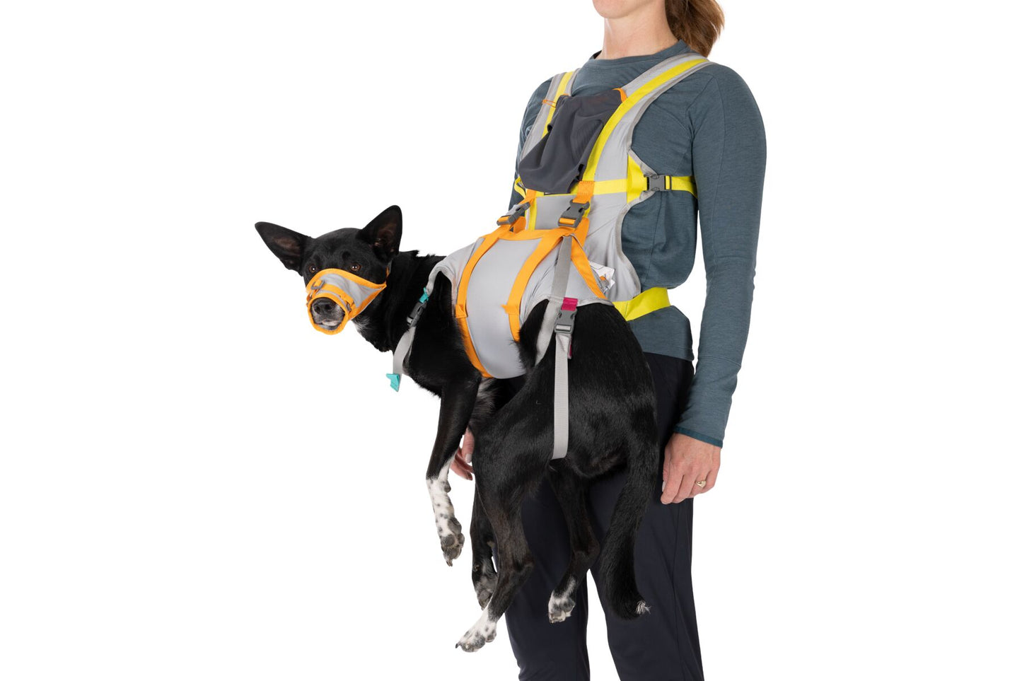 The Ruffwear Backtrak Evacuation Kit in use, with a black dog being held up.
