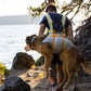 A dog owner is using the Ruffwear Backtrak Evacuation Kit, and walking along a trail. Their dog is positioned on their back.