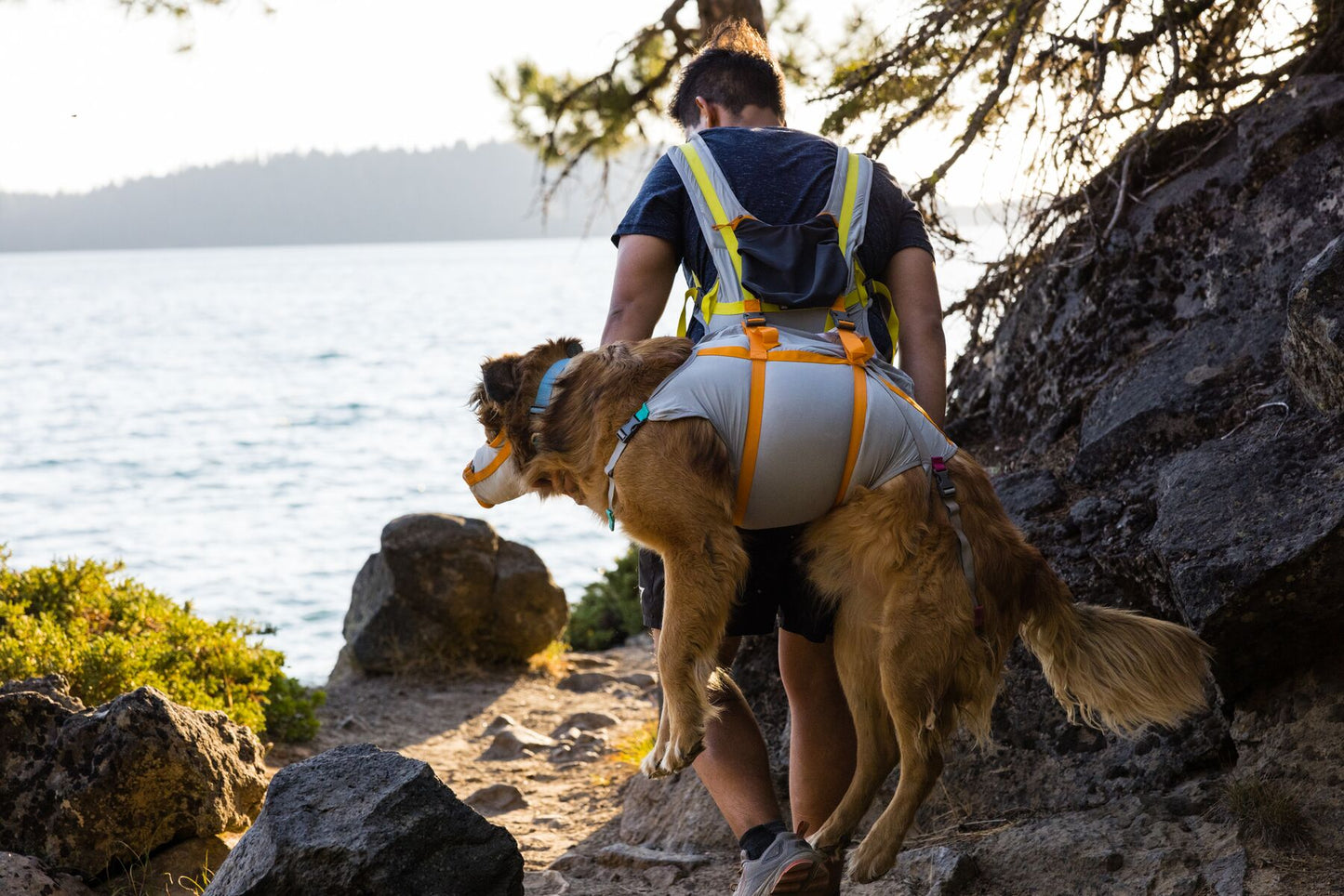 A dog owner is using the Ruffwear Backtrak Evacuation Kit, and walking along a trail. Their dog is positioned on their back.