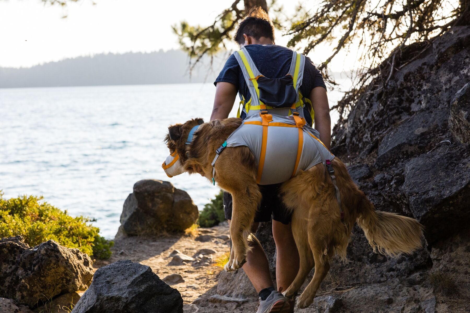 A dog owner is using the Ruffwear Backtrak Evacuation Kit, and walking along a trail. Their dog is positioned on their back.