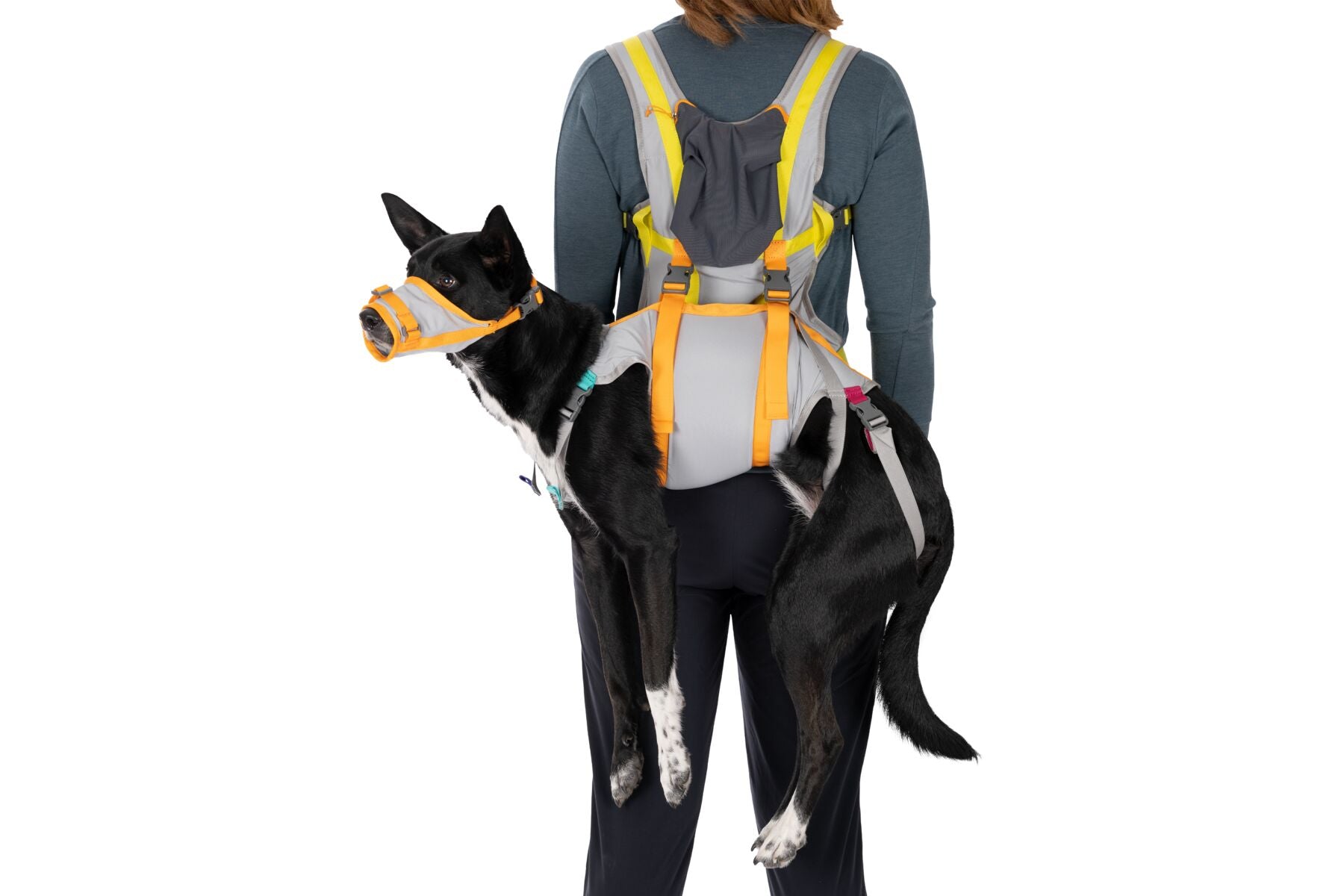 The Ruffwear Backtrak Evacuation Kit in use, with a dog and their owner.