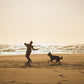 Lifestyle image of the Climate Changer Fleece Vest, worn by a dog on a beach, as an owner is about to throw a toy for them to fetch.
