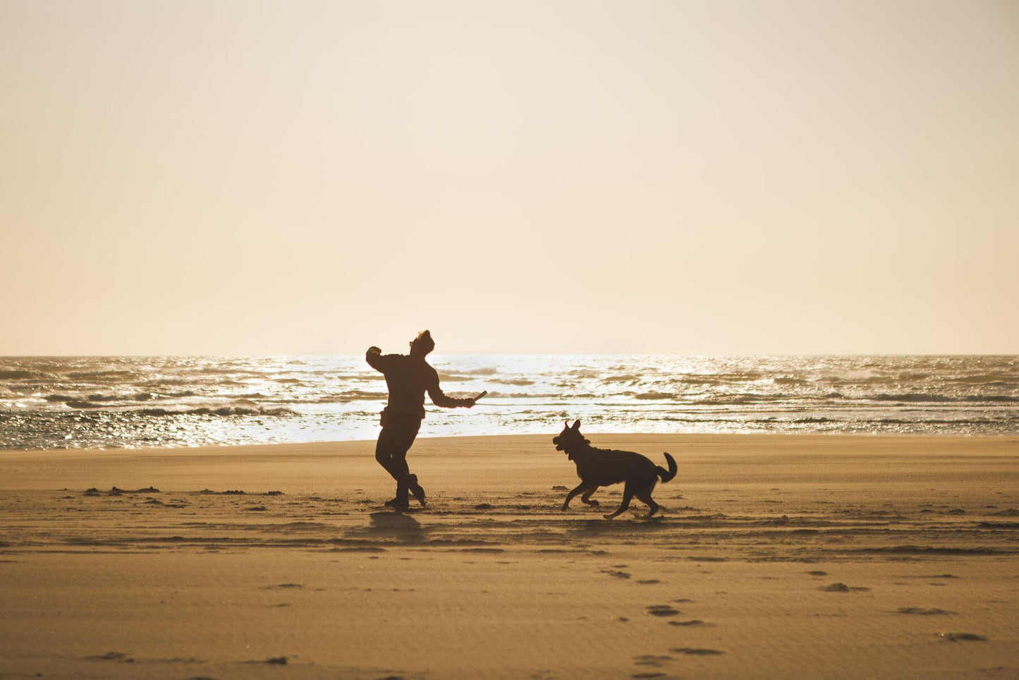 Lifestyle image of the Climate Changer Fleece Vest, worn by a dog on a beach, as an owner is about to throw a toy for them to fetch.