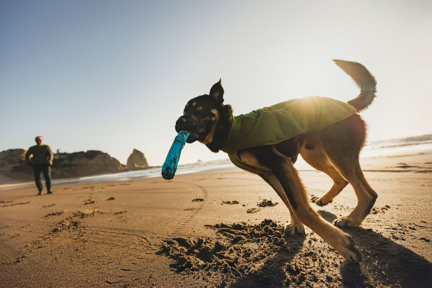 Lifestyle image of the Climate Changer Fleece Vest, worn by a dog on a beach, as they run across a beach holding a toy. The dog's owner is in the background.