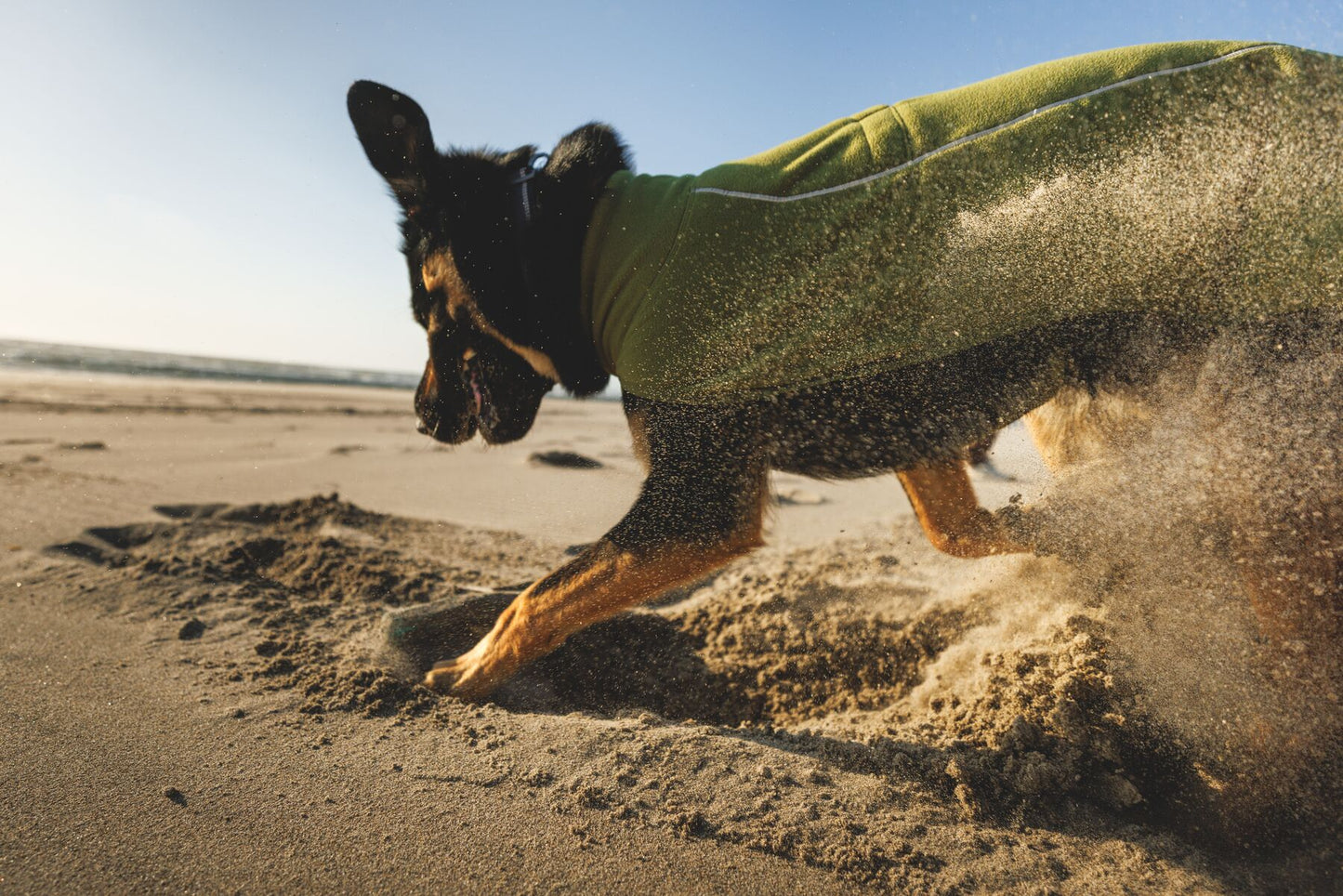 Lifestyle image of the Climate Changer Fleece Vest, worn by a dog digging into the sand on a beach.