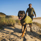 Lifestyle image of the Climate Changer Fleece Vest, worn by a black and tan dog walking across a sandy beach with their owner walking behind them.