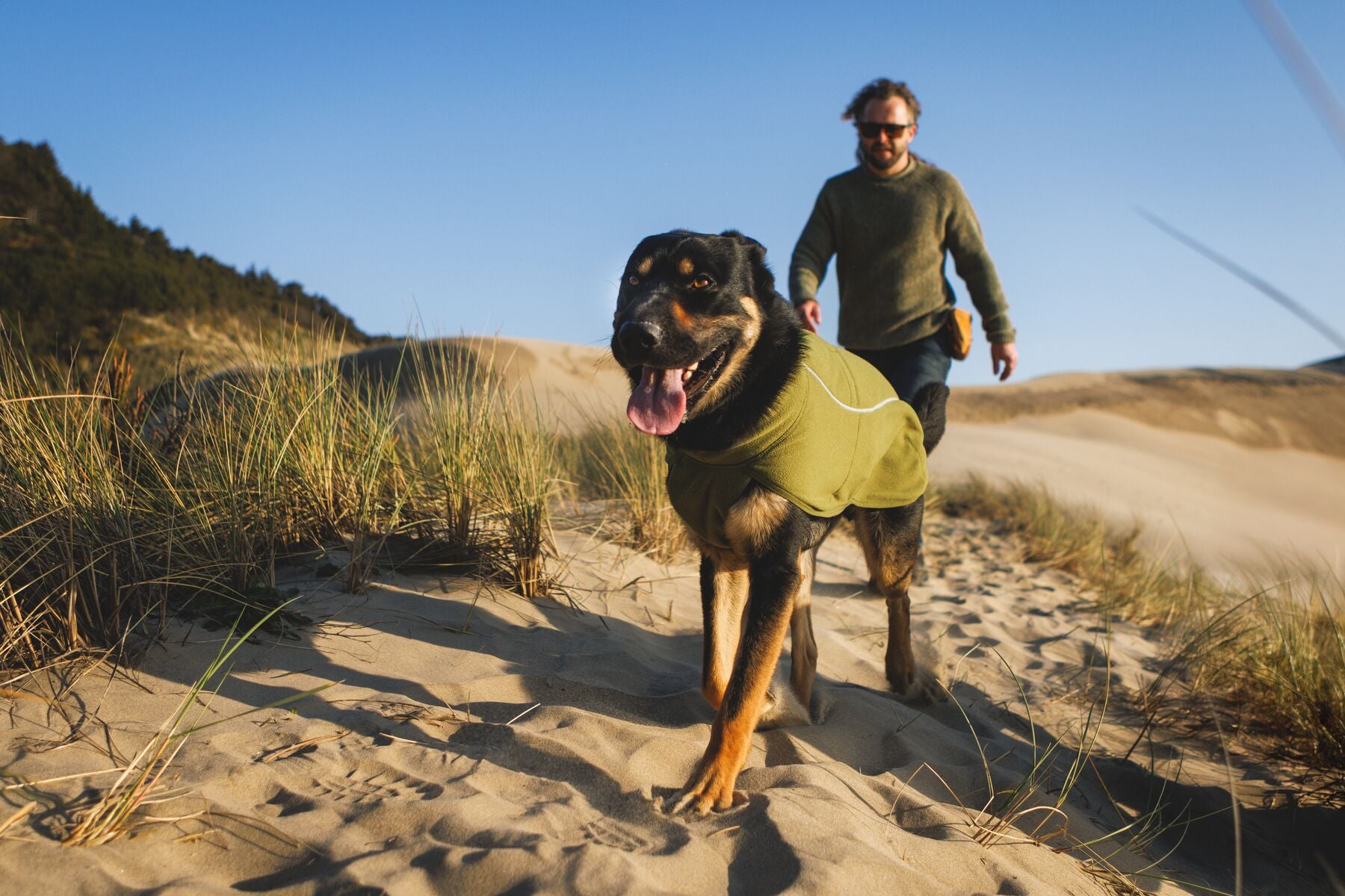 Lifestyle image of the Climate Changer Fleece Vest, worn by a black and tan dog walking across a sandy beach with their owner walking behind them.