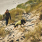Lifestyle image of the Climate Changer Fleece Vest, worn by a black and tan dog running up some sand dunes.