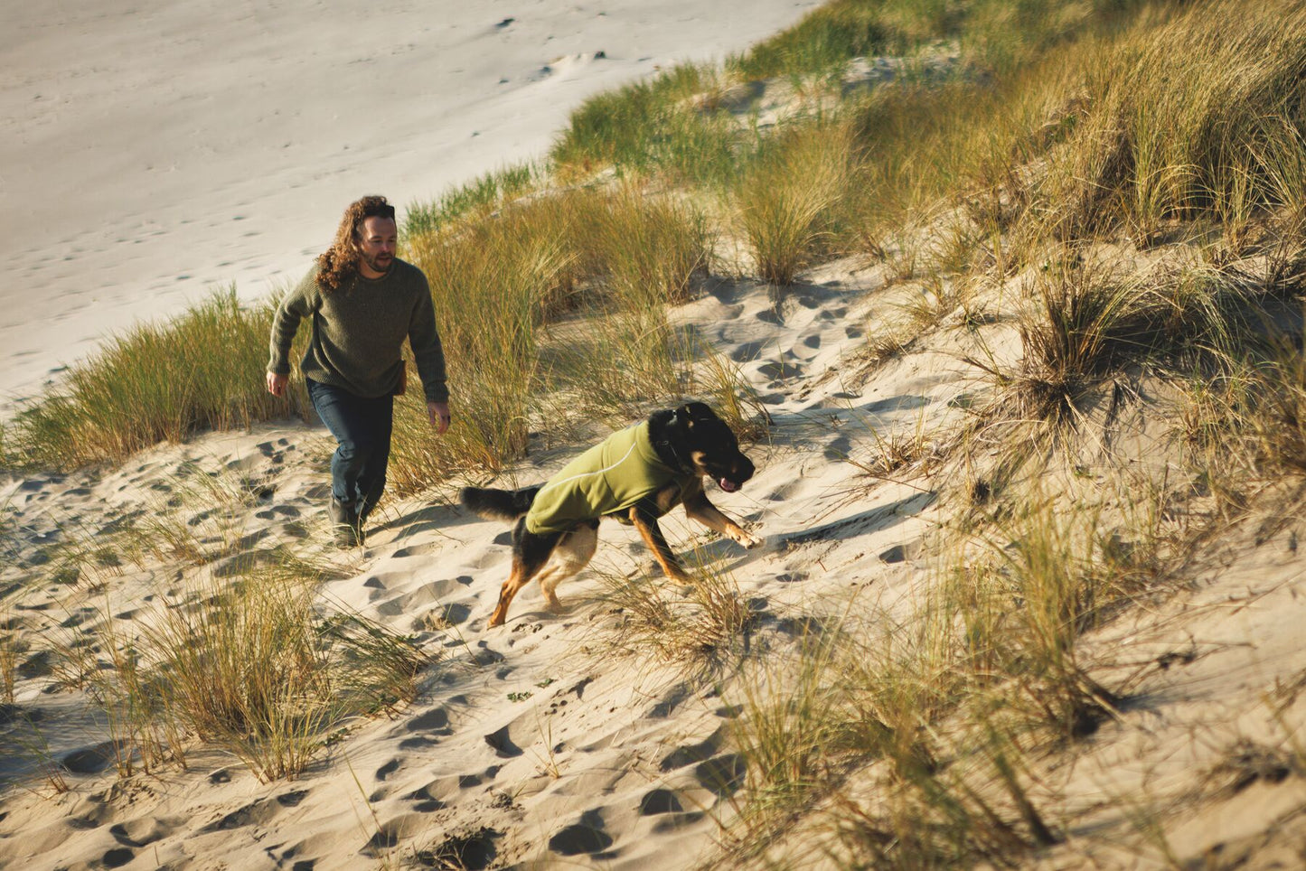 Lifestyle image of the Climate Changer Fleece Vest, worn by a black and tan dog running up some sand dunes.