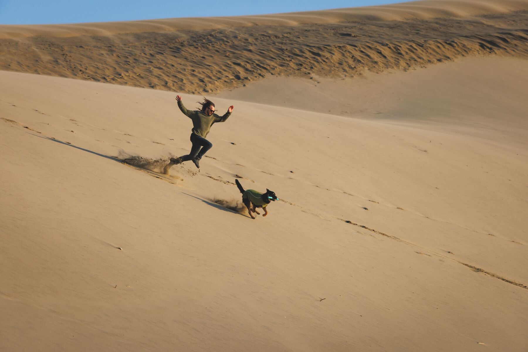 Lifestyle image of the Climate Changer Fleece Vest, worn by a black and tan dog running ahead of their owner, who runs behind them.