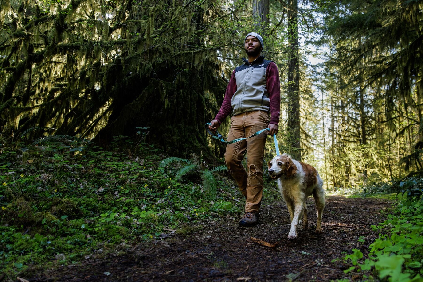 Lifestyle image of the Crag EX Lead. worn by a brown and white dog walking down a forest trail, with the lead being held by their owner.