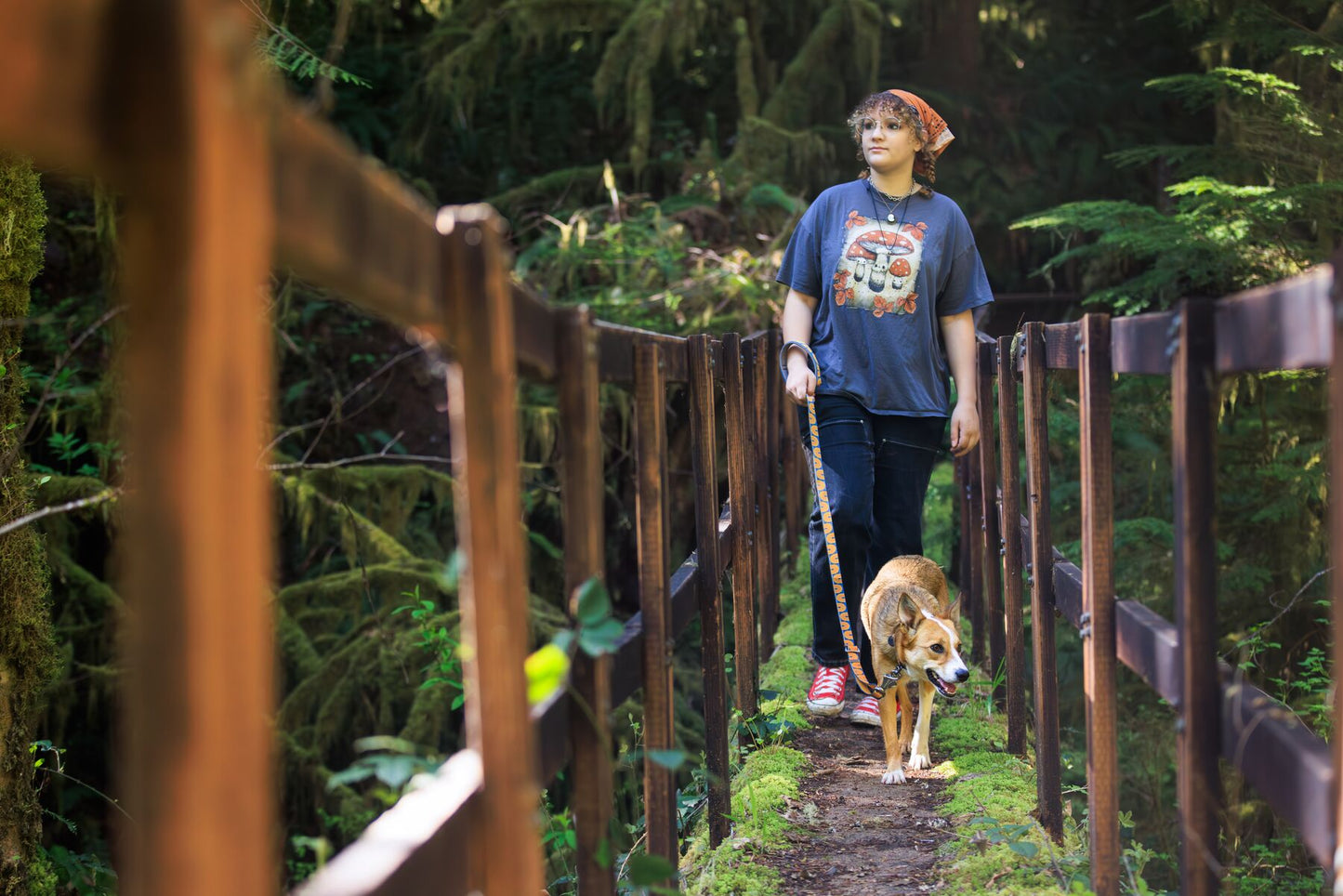 Lifestyle image of the Crag EX Lead. worn by a brown and white dog walking across a bridge, with a forest in the background.