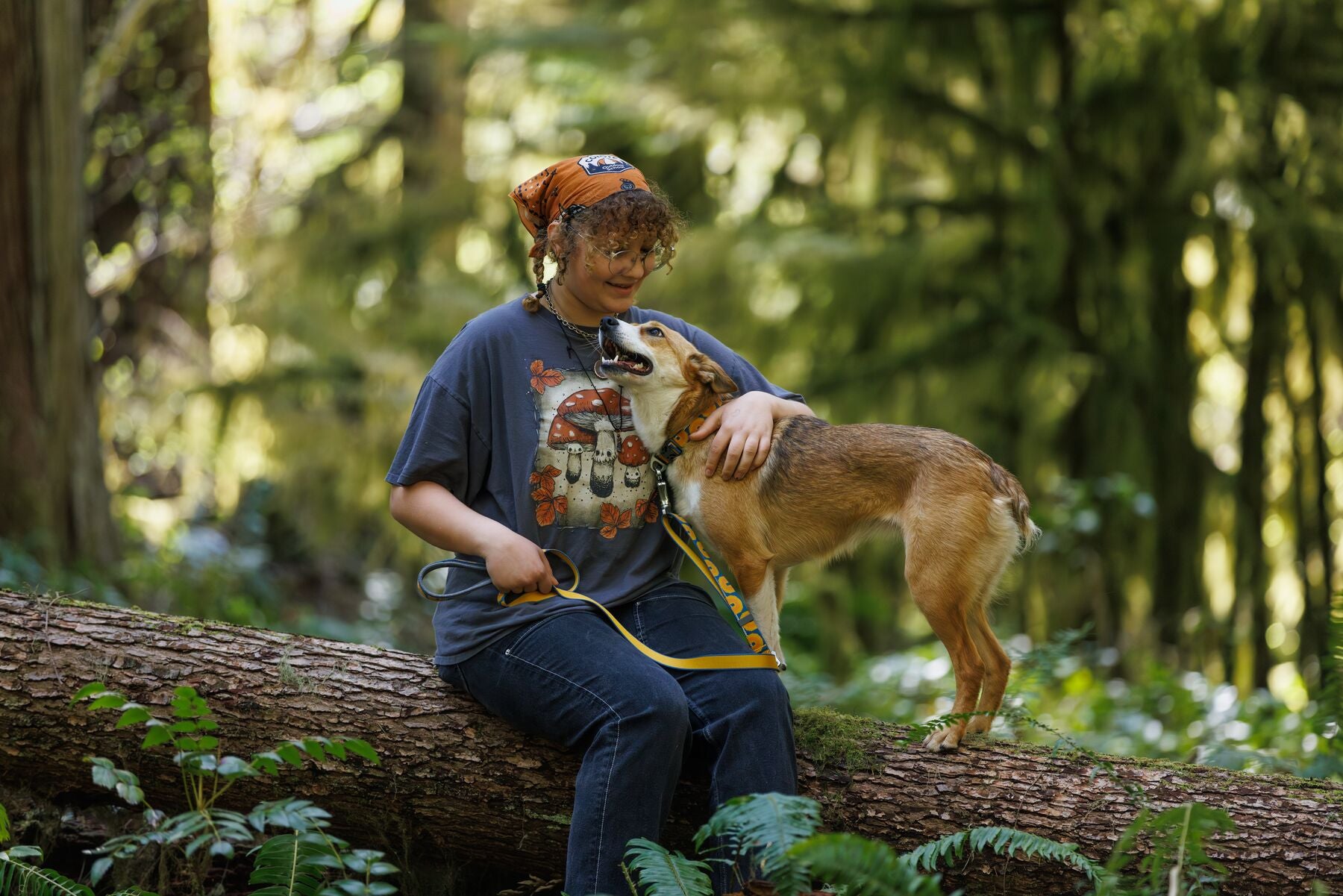 Lifestyle image of the Crag EX Lead. worn by a brown and white dog. The dog and their owner are sat on a log bonding, with a forest background.