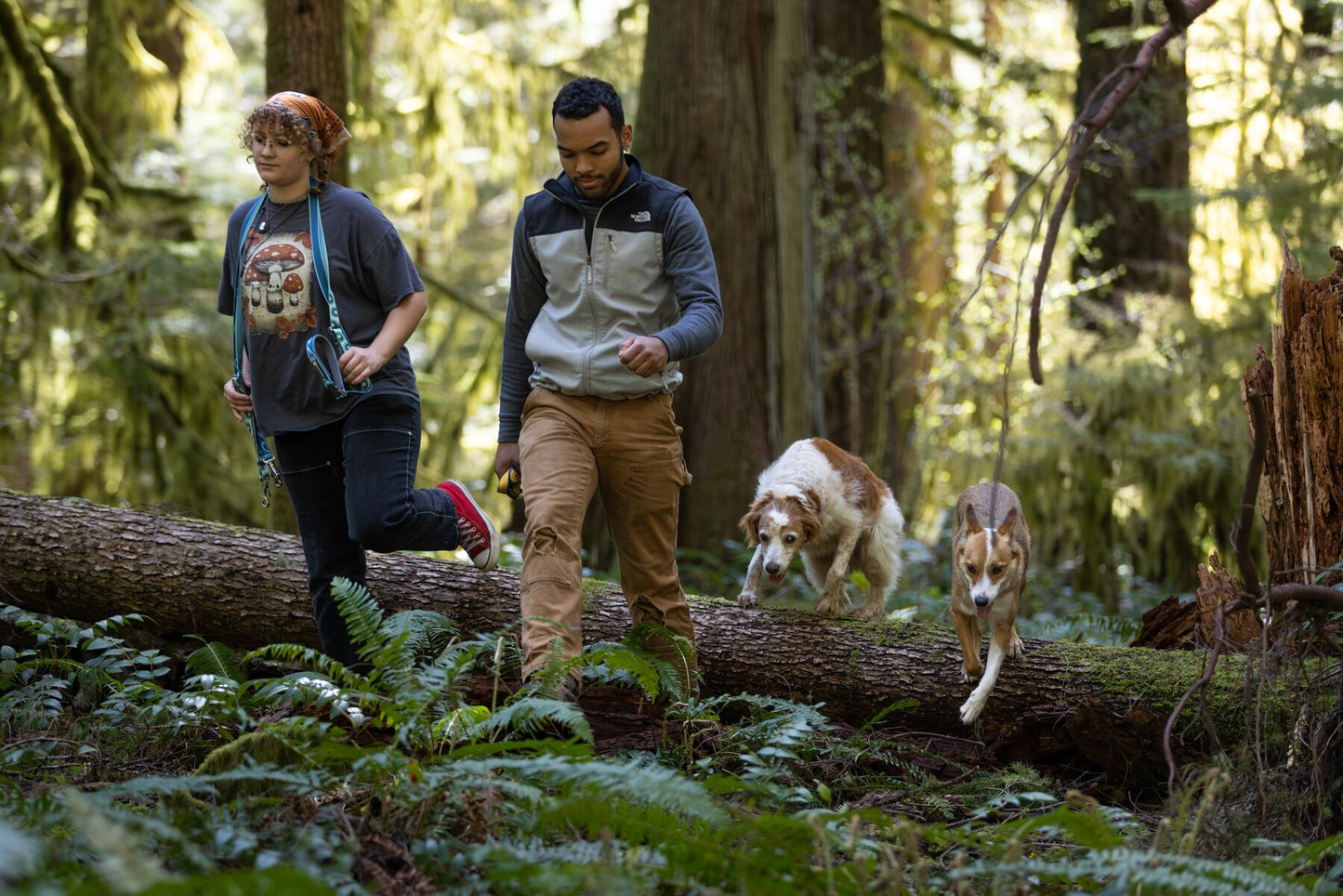 Lifestyle image of the Crag EX Lead, being worn around the neck of a lady, while a man walks beside her with a lead in his hand. Two dogs step over the log behind them.