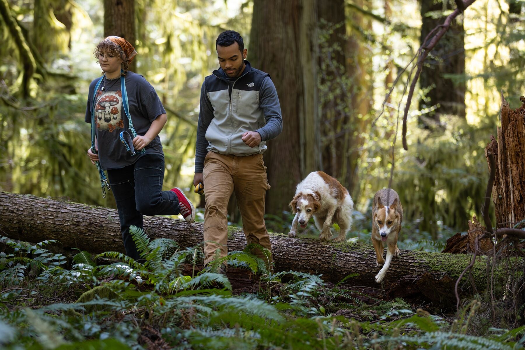 Lifestyle image of the Crag EX Lead, being worn around the neck of a lady, while a man walks beside her with a lead in his hand. Two dogs step over the log behind them.