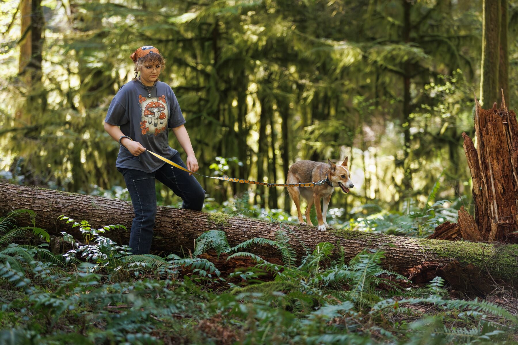 Lifestyle image of the Crag EX Lead. worn by a dog walking on a log. Their owner walks alongside them, stepping over the log. The background is a forest environment.