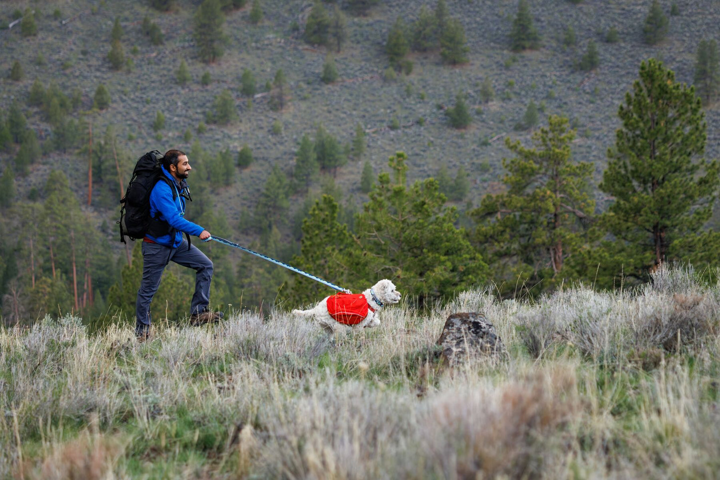 Lifestyle image of the Crag Lead being clipped to a red harness backpack, as the two walk through a field.