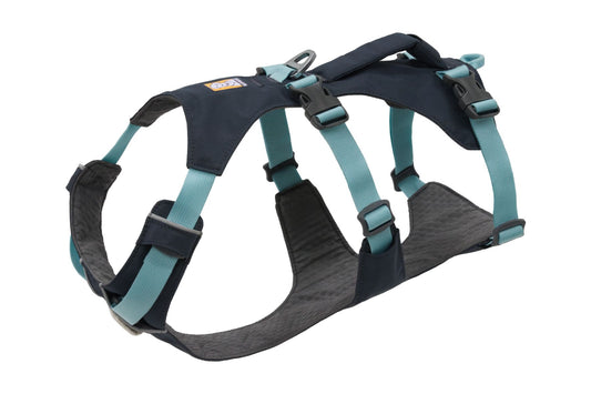 Stock image of the Flagline Harness in Basalt Grey, a double-belly strap harness on a white background with a handle.