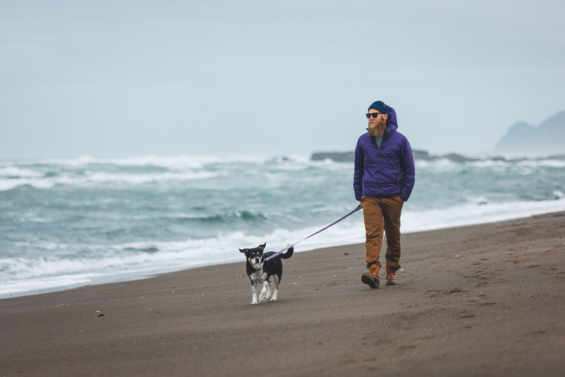 Lifestyle image of the Front Range Collar being worn at a beach, with a person and dog walking in front of the sea.