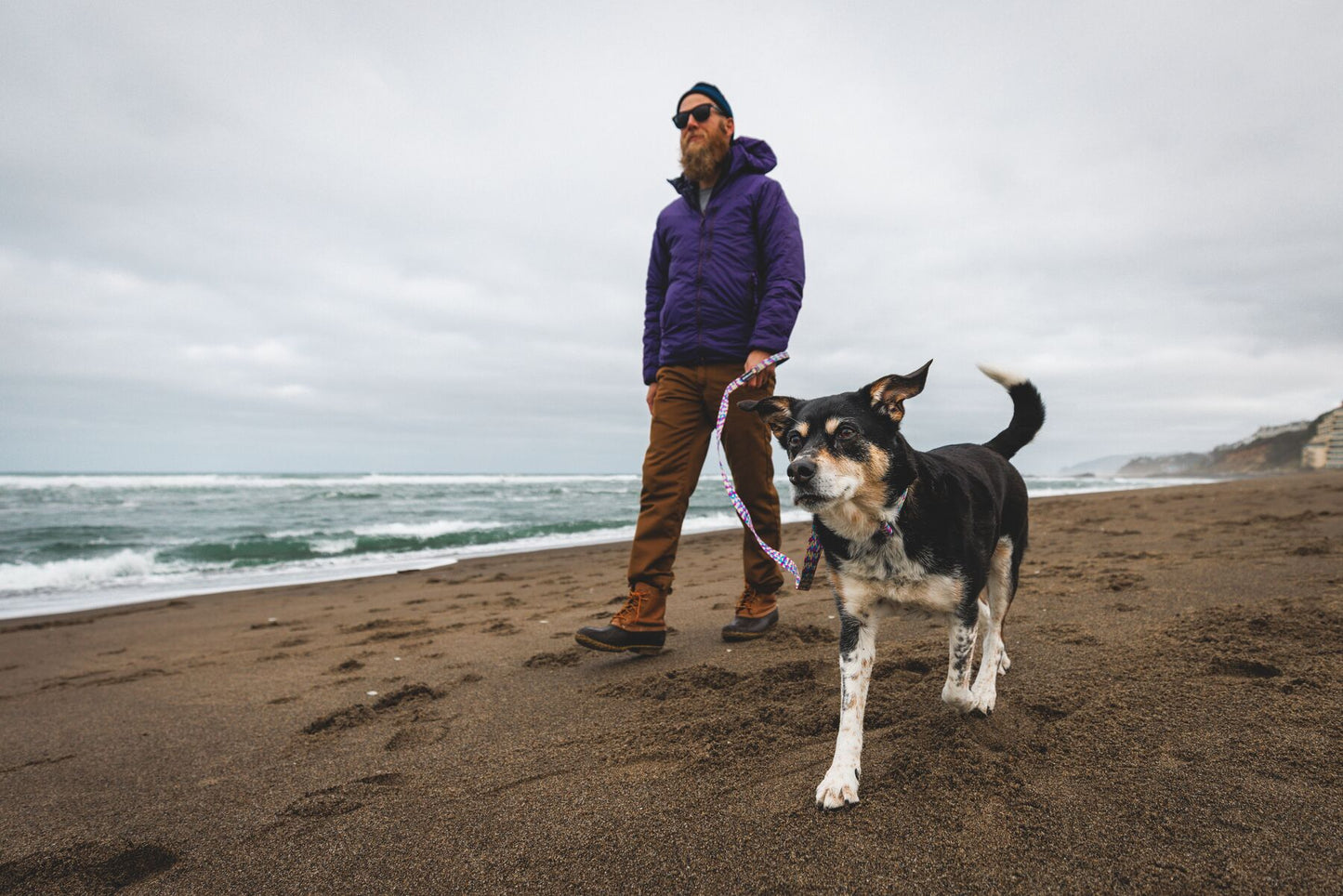 Lifestyle image of the Front Range Collar being worn at a beach, with a person and dog walking in front of the sea.