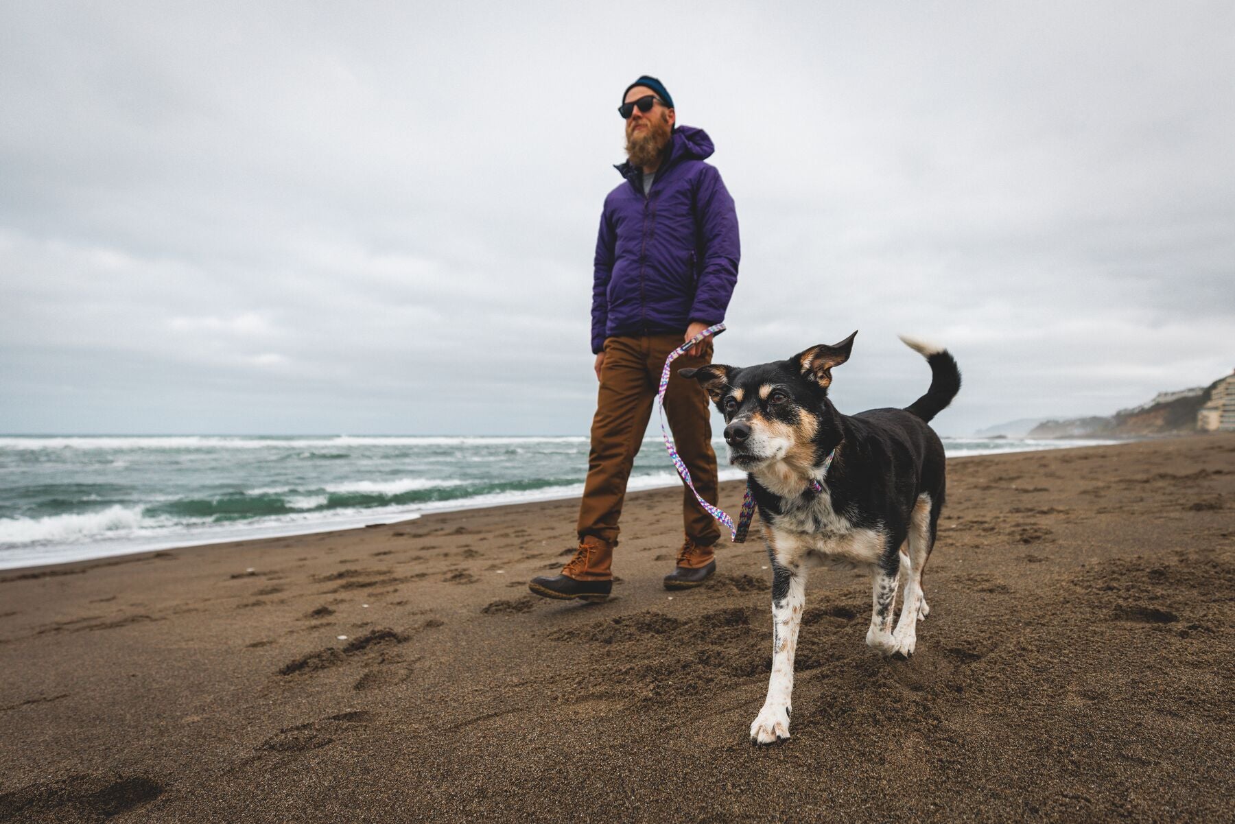Lifestyle image of the Front Range Collar being worn at a beach, with a person and dog walking in front of the sea.