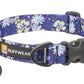 Stock image of the Front Range Collar in Wildflower, a purple, yellow and white patterned dog collar with a floral design and a plastic buckle, featuring the Ruffwear brand tag.