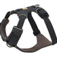 Stock image of the Front Range Harness in Basalt Grey, a harness with a D-ring and front clip, on a white background.