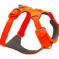 Stock image of the Front Range Harness in Blaze Orange, a harness with a D-ring and front clip, on a white background.