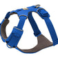 Stock image of the Front Range Harness in Blue Pool, a harness with a D-ring and front clip, on a white background.