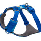 Stock image of the Front Range Harness in Coastal Mountains. a harness with a D-ring and front clip, on a white background.