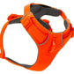 Stock image of the Front Range Harness in Blaze Orange, a harness with a D-ring and front clip, on a white background.