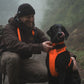 Lifestyle image of the Front Range Harness, with a black dog wearing a bright orange harness and collar, and their owner fastening the collar.