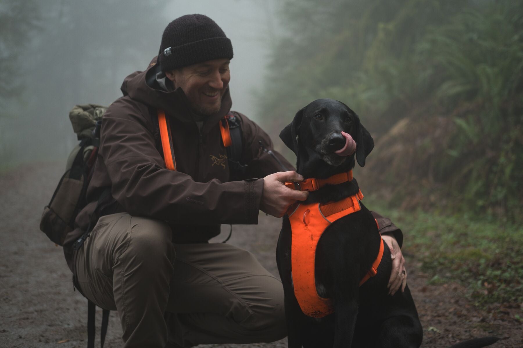 Lifestyle image of the Front Range Harness, with a black dog wearing a bright orange harness and collar, and their owner fastening the collar.