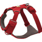 Stock image of the Front Range Harness in Red Canyonl, a harness with a D-ring and front clip, on a white background.