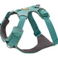 Stock image of the Front Range Harness in River Rock Green, a harness with a D-ring and front clip, on a white background.